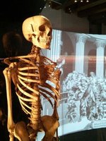 Musme: il Museo della medicina Padovana